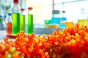 Understand what is astaxanthin made from through a vibrant extraction process in a lab setting.